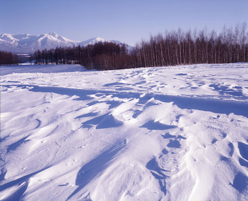 美瑛町/美馬牛45