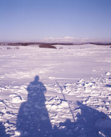 美瑛町/美馬牛47