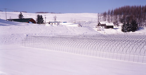 美瑛町/美馬牛48