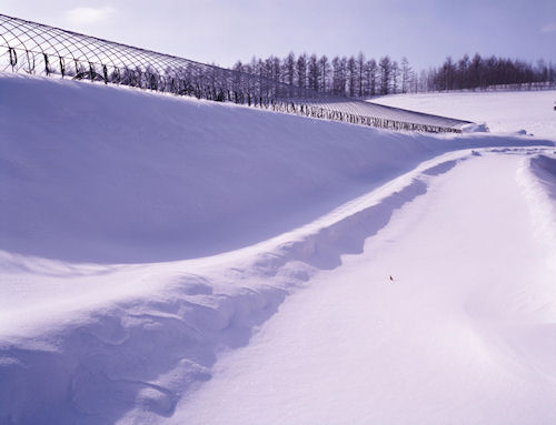 美瑛町/美馬牛50