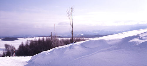 美瑛町/美馬牛51