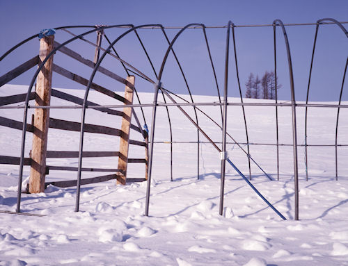 美瑛町/美馬牛56