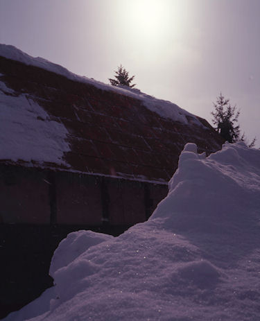 美瑛町/美馬牛57