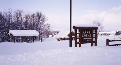 美馬牛周辺12美馬牛の森