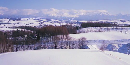 美瑛周辺09