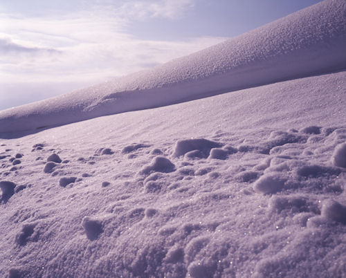 上富良野方面04