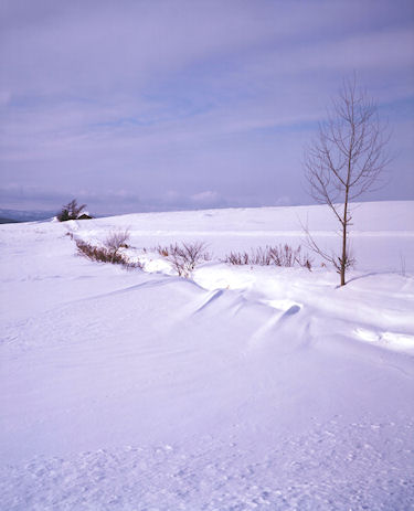 上富良野方面06