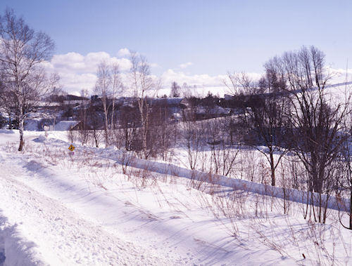 上富良野方面07
