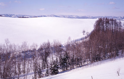 上富良野方面08