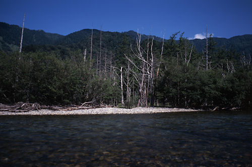 上高地10梓川
