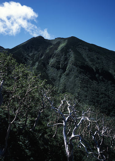 乗鞍スカイライン01