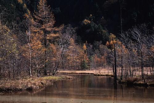 上高地04田代池