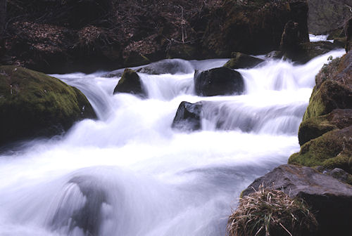 青森県05奥入瀬渓流