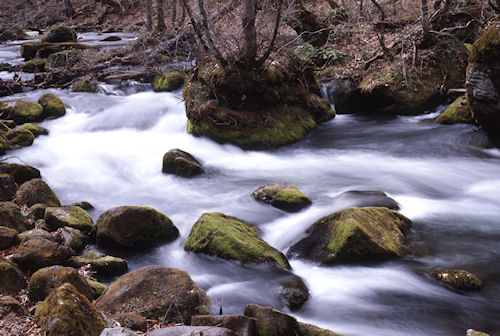 青森県09奥入瀬渓流