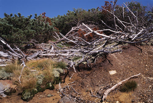 立山17地獄谷付近