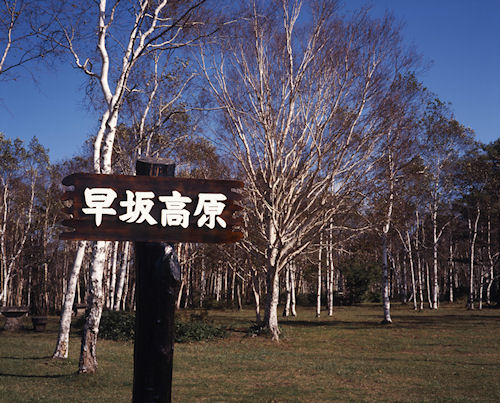 早坂高原01