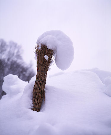 山形県「冬」05