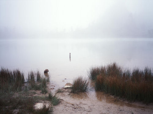 群馬10草津町　「弓池」