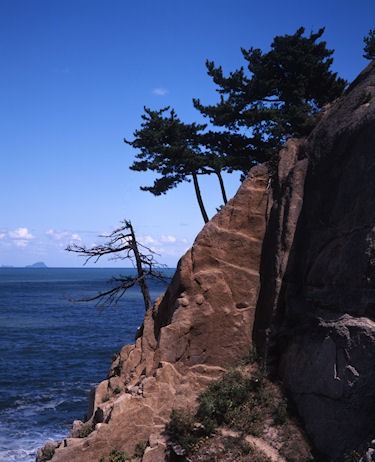 伊根・若狭湾39若狭湾