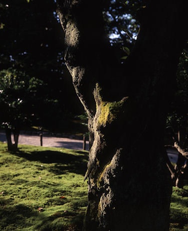 北陸08石川県　金沢市　兼六園