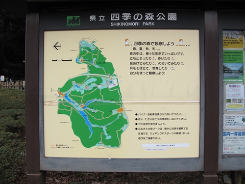四季の森公園-10
