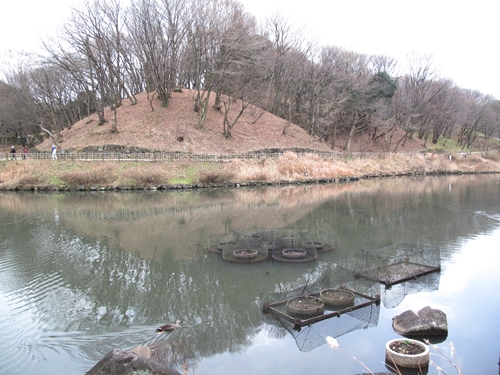 四季の森公園-16