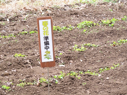 四季の森公園-18