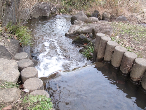 四季の森公園-21