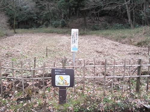 四季の森公園-24