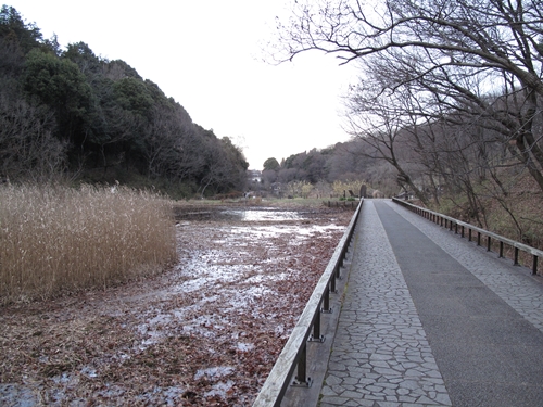 四季の森公園-26