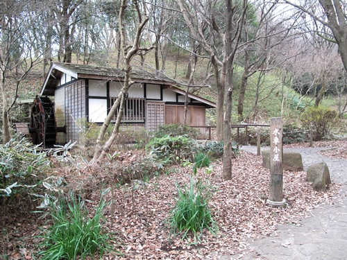 四季の森公園-27