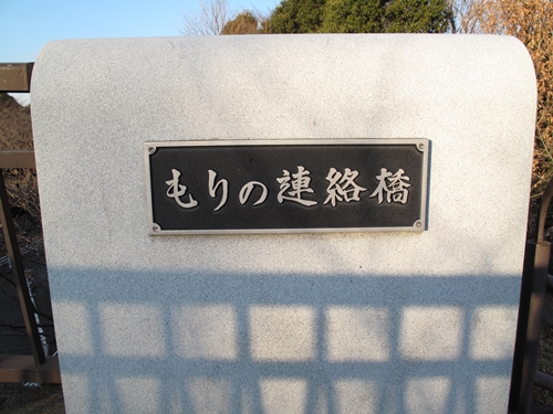 四季の森公園2日目-02