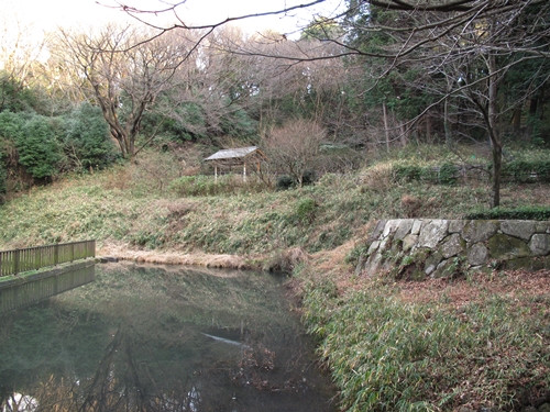 四季の森公園2日目-11