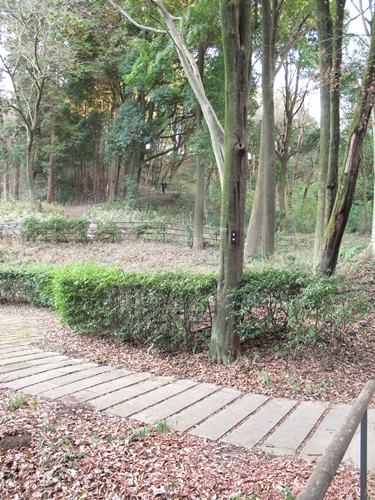 四季の森公園2日目-13