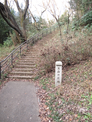四季の森公園2日目-14
