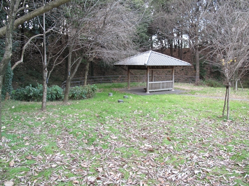 四季の森公園2日目-18