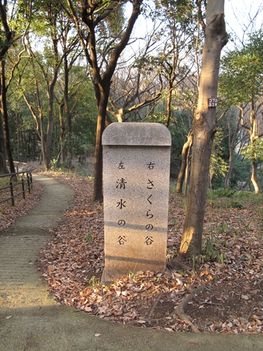 四季の森公園2日目-31