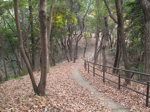 四季の森公園2日目-32