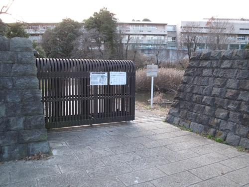 四季の森公園2日目-40