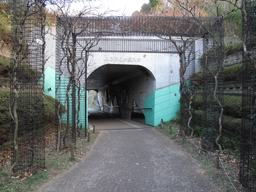 四季の森公園2日目-46