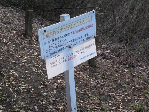 四季の森公園2日目-52