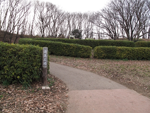 四季の森公園3日目-06