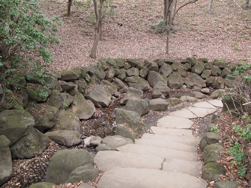四季の森公園3日目-12