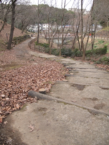 四季の森公園3日目-15