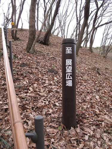 四季の森公園3日目-17