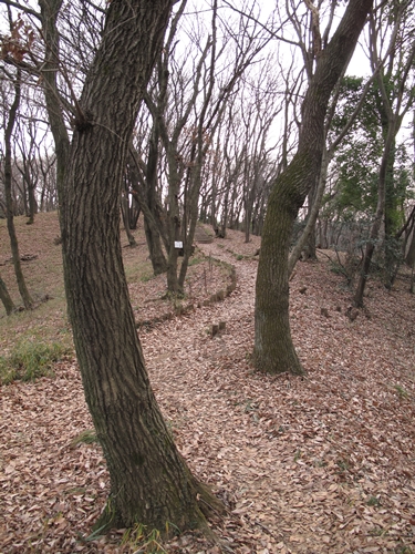 四季の森公園3日目-21