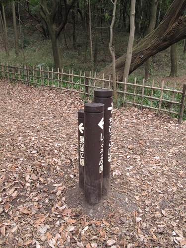 四季の森公園3日目-29