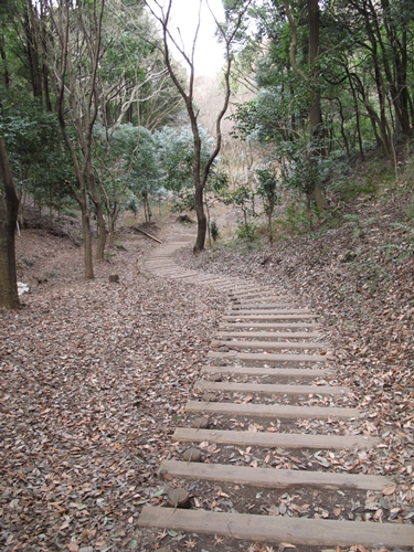 四季の森公園3日目-35