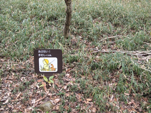 四季の森公園3日目-40