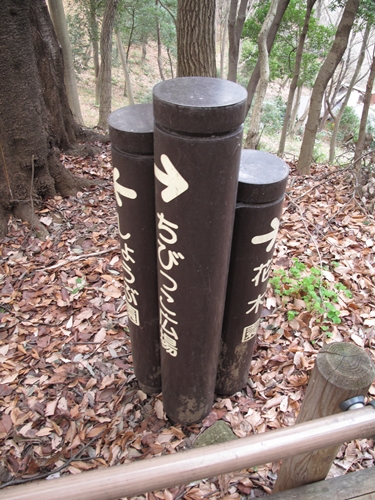 四季の森公園3日目-45